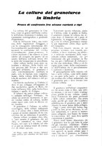 giornale/UM10003065/1924/unico/00000074