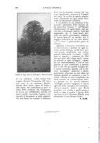 giornale/UM10003065/1924/unico/00000118