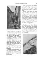 giornale/UM10003065/1924/unico/00000127