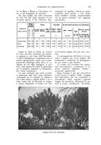 giornale/UM10003065/1924/unico/00000137