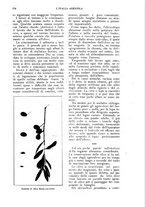 giornale/UM10003065/1924/unico/00000138