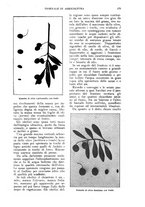 giornale/UM10003065/1924/unico/00000139