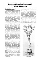 giornale/UM10003065/1924/unico/00000145