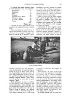 giornale/UM10003065/1924/unico/00000177