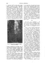 giornale/UM10003065/1924/unico/00000190