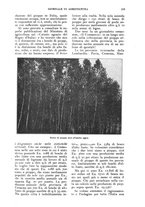 giornale/UM10003065/1924/unico/00000191