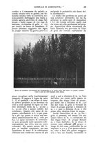 giornale/UM10003065/1924/unico/00000193