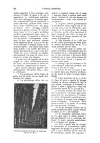 giornale/UM10003065/1924/unico/00000194