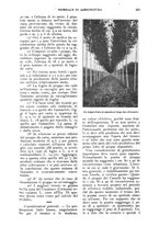 giornale/UM10003065/1924/unico/00000195