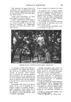 giornale/UM10003065/1924/unico/00000197