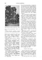 giornale/UM10003065/1924/unico/00000198