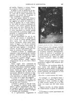 giornale/UM10003065/1924/unico/00000199