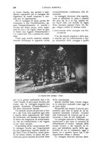 giornale/UM10003065/1924/unico/00000200
