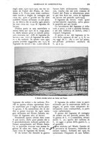 giornale/UM10003065/1924/unico/00000203