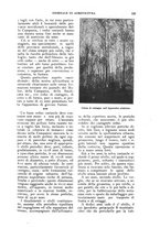 giornale/UM10003065/1924/unico/00000207