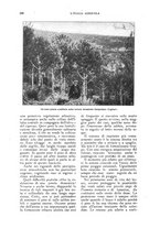 giornale/UM10003065/1924/unico/00000212