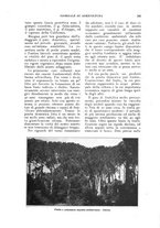 giornale/UM10003065/1924/unico/00000213
