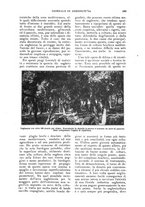 giornale/UM10003065/1924/unico/00000221