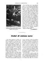 giornale/UM10003065/1924/unico/00000223