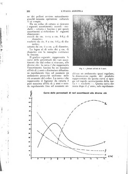 L'Italia agricola