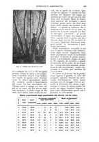 giornale/UM10003065/1924/unico/00000225