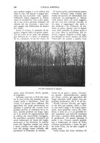 giornale/UM10003065/1924/unico/00000228