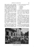 giornale/UM10003065/1924/unico/00000231