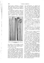 giornale/UM10003065/1924/unico/00000232