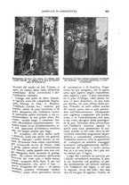 giornale/UM10003065/1924/unico/00000235