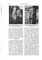 giornale/UM10003065/1924/unico/00000236