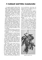 giornale/UM10003065/1924/unico/00000239