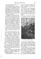giornale/UM10003065/1924/unico/00000241