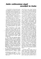 giornale/UM10003065/1924/unico/00000243