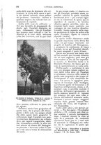 giornale/UM10003065/1924/unico/00000244