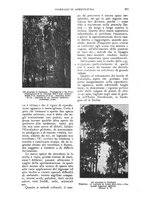 giornale/UM10003065/1924/unico/00000245