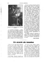 giornale/UM10003065/1924/unico/00000246