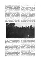 giornale/UM10003065/1924/unico/00000247