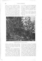 giornale/UM10003065/1924/unico/00000250