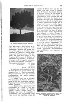 giornale/UM10003065/1924/unico/00000251