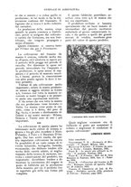 giornale/UM10003065/1924/unico/00000253