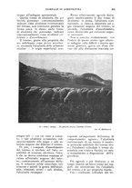 giornale/UM10003065/1924/unico/00000269