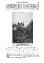 giornale/UM10003065/1924/unico/00000277