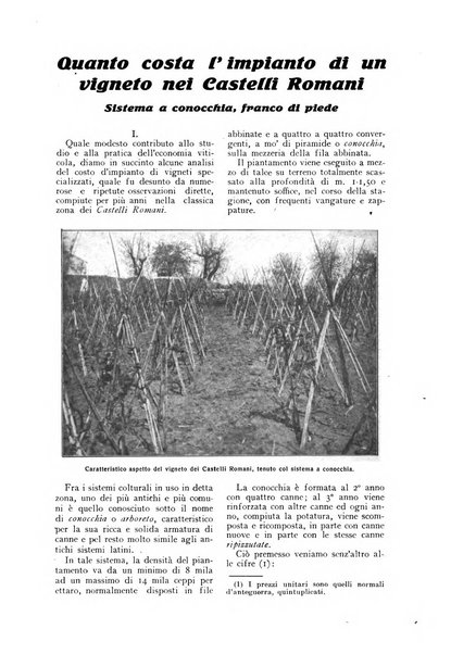 L'Italia agricola