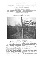 giornale/UM10003065/1924/unico/00000289