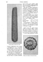 giornale/UM10003065/1924/unico/00000328