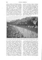 giornale/UM10003065/1924/unico/00000330