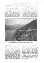 giornale/UM10003065/1924/unico/00000331