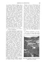 giornale/UM10003065/1924/unico/00000335