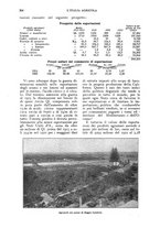 giornale/UM10003065/1924/unico/00000336