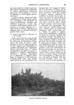 giornale/UM10003065/1924/unico/00000337